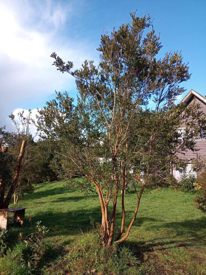 Casa de férias Tepual *