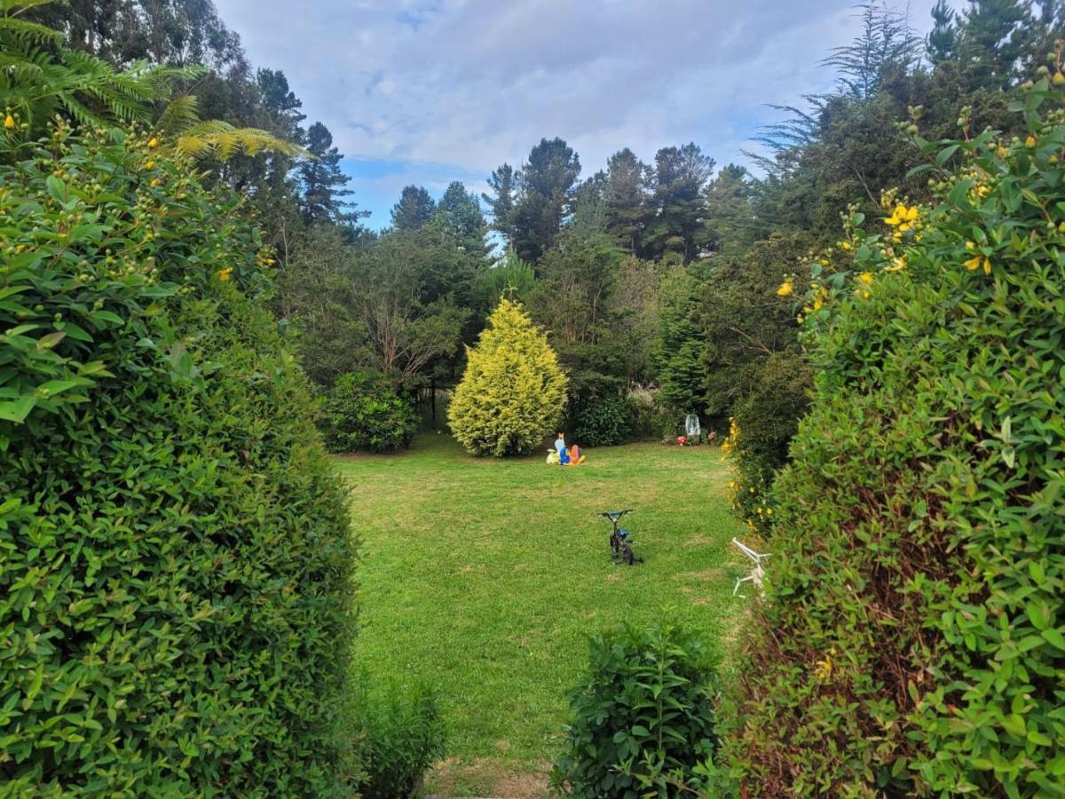 Tepual Puerto Montt