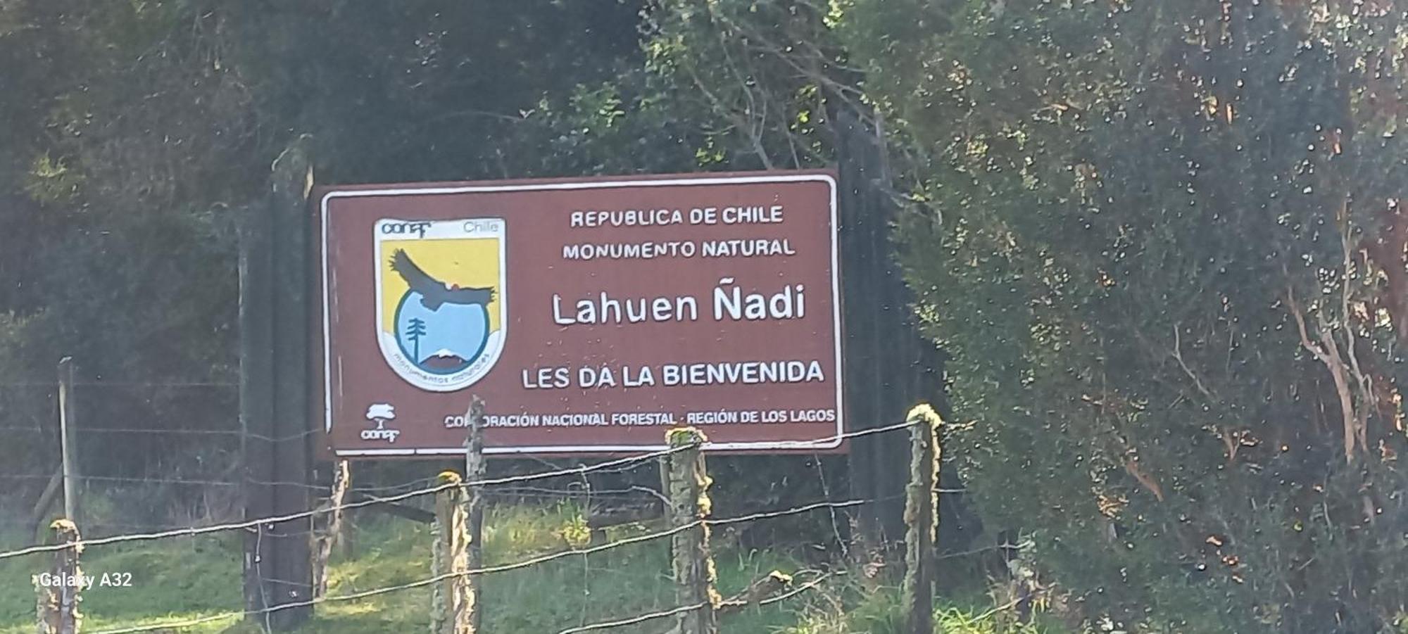 Tepual